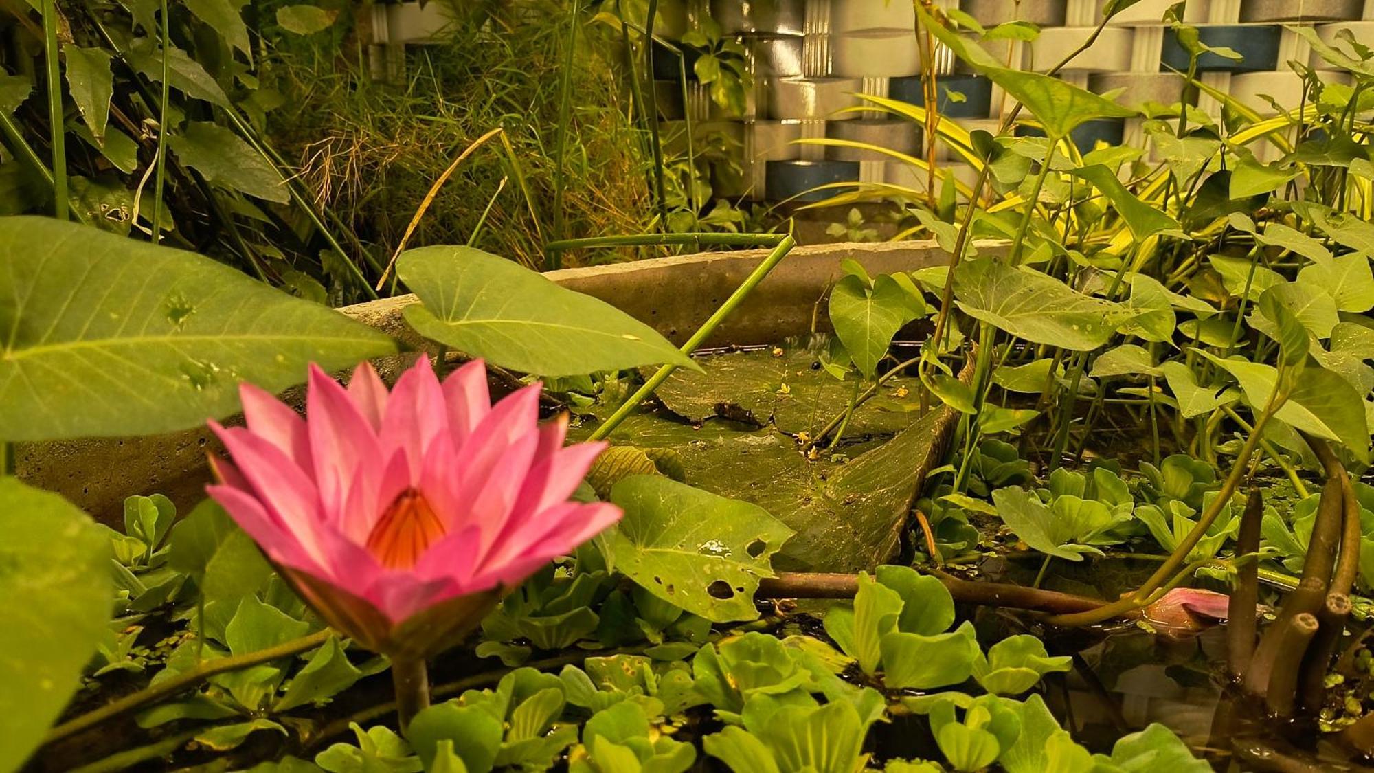 Gt Guest House Virāmpattinam Exterior foto